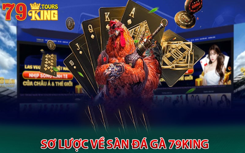 Sơ lược về sàn Đá gà 79king