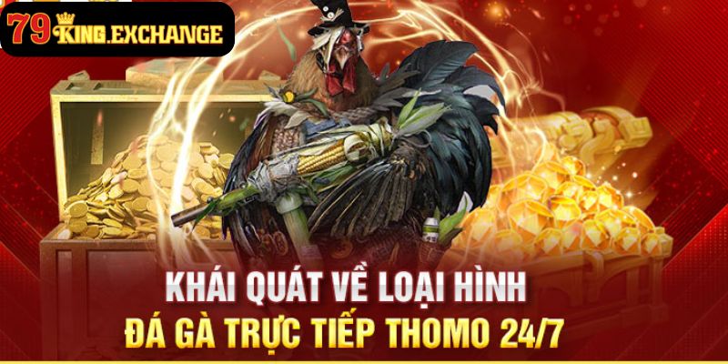 Đá Gà Thomo 79King - Thiên Đường Chọi Gà Hấp Dẫn Ngay Tại Nhà